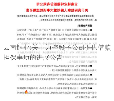 云南铜业:关于为控股子公司提供借款担保事项的进展公告