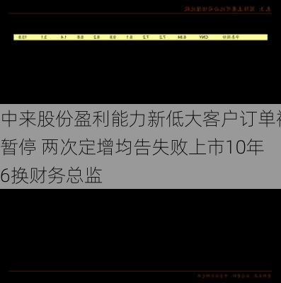 中来股份盈利能力新低大客户订单被暂停 两次定增均告失败上市10年6换财务总监