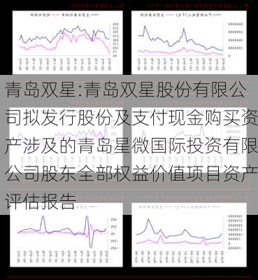 青岛双星:青岛双星股份有限公司拟发行股份及支付现金购买资产涉及的青岛星微国际投资有限公司股东全部权益价值项目资产评估报告