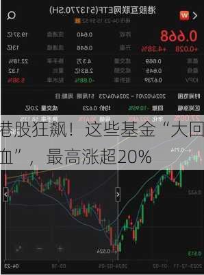 港股狂飙！这些基金“大回血”，最高涨超20%