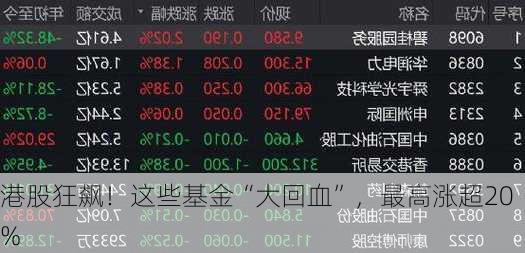 港股狂飙！这些基金“大回血”，最高涨超20%