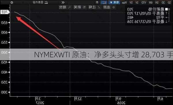 NYMEXWTI 原油：净多头头寸增 28,703 手