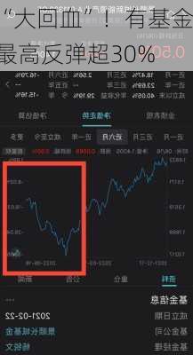 “大回血”！有基金最高反弹超30%