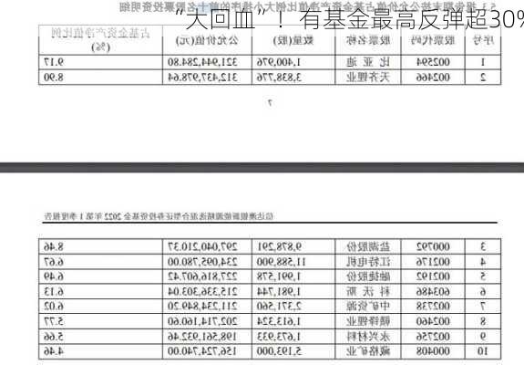 “大回血”！有基金最高反弹超30%