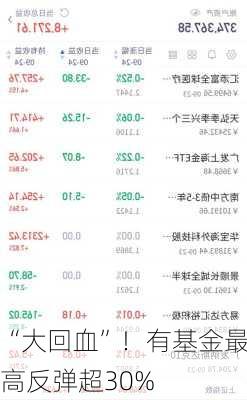 “大回血”！有基金最高反弹超30%