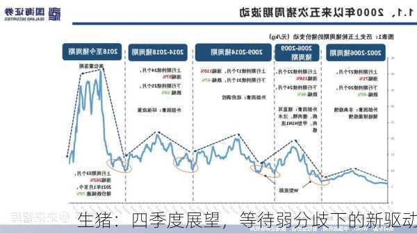 生猪：四季度展望，等待弱分歧下的新驱动