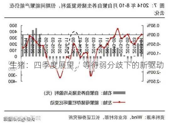 生猪：四季度展望，等待弱分歧下的新驱动