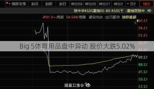 Big 5体育用品盘中异动 股价大跌5.02%