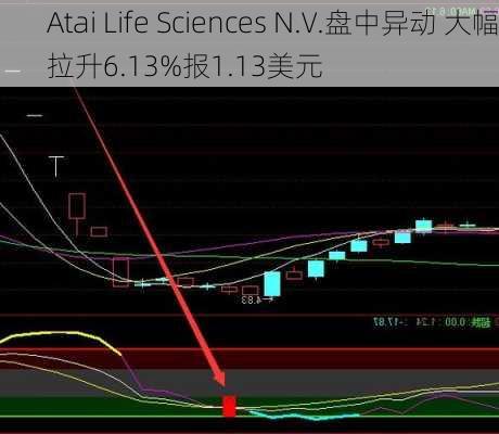 Atai Life Sciences N.V.盘中异动 大幅拉升6.13%报1.13美元