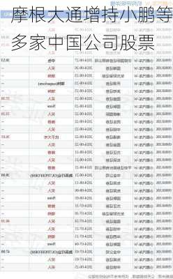 摩根大通增持小鹏等多家中国公司股票