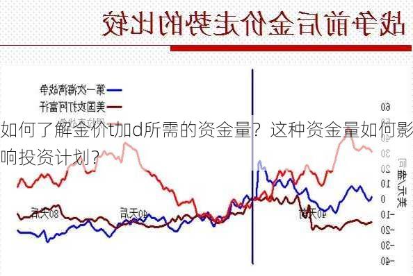 如何了解金价t加d所需的资金量？这种资金量如何影响投资计划？