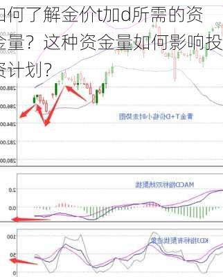 如何了解金价t加d所需的资金量？这种资金量如何影响投资计划？