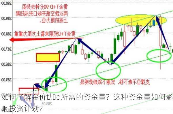 如何了解金价t加d所需的资金量？这种资金量如何影响投资计划？