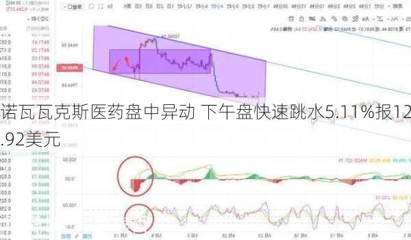 诺瓦瓦克斯医药盘中异动 下午盘快速跳水5.11%报12.92美元