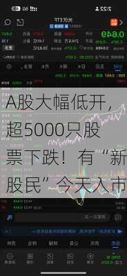 A股大幅低开，超5000只股票下跌！有“新股民”今天入市