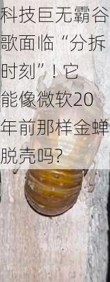 科技巨无霸谷歌面临“分拆时刻”! 它能像微软20年前那样金蝉脱壳吗?