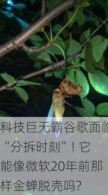 科技巨无霸谷歌面临“分拆时刻”! 它能像微软20年前那样金蝉脱壳吗?