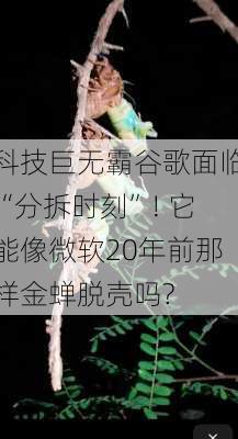 科技巨无霸谷歌面临“分拆时刻”! 它能像微软20年前那样金蝉脱壳吗?