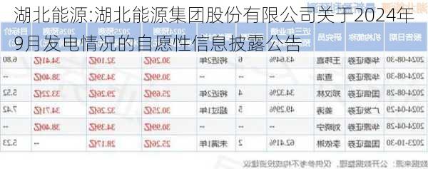 湖北能源:湖北能源集团股份有限公司关于2024年9月发电情况的自愿性信息披露公告