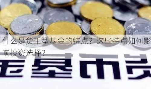 什么是货币型基金的特点？这些特点如何影响投资选择？