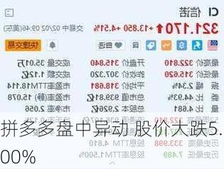 拼多多盘中异动 股价大跌5.00%