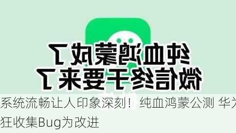 系统流畅让人印象深刻！纯血鸿蒙公测 华为狂收集Bug为改进