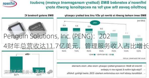 Penguin Solutions, Inc. (PENG)：2024财年总营收达11.7亿美元，管理服务收入占比增长