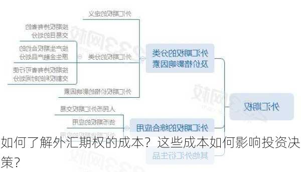 如何了解外汇期权的成本？这些成本如何影响投资决策？