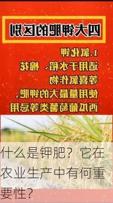 什么是钾肥？它在农业生产中有何重要性？