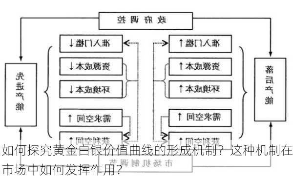 如何探究黄金白银价值曲线的形成机制？这种机制在市场中如何发挥作用？