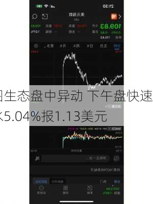 瑞图生态盘中异动 下午盘快速跳水5.04%报1.13美元