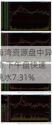 海湾资源盘中异动 下午盘快速跳水7.31%