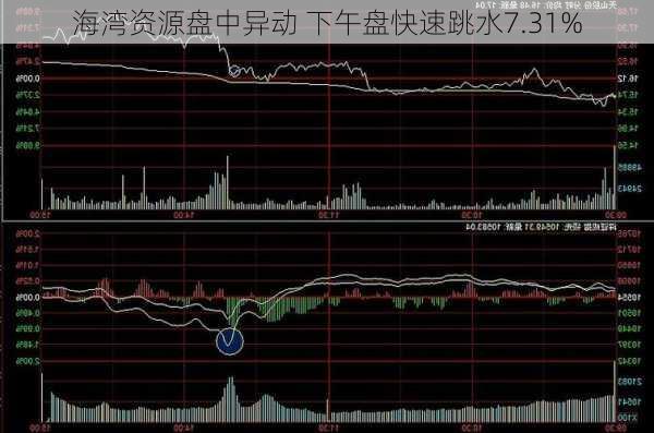 海湾资源盘中异动 下午盘快速跳水7.31%