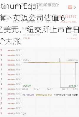 Platinum Equity 旗下英迈公司估值 60 亿美元，纽交所上市首日股价大涨