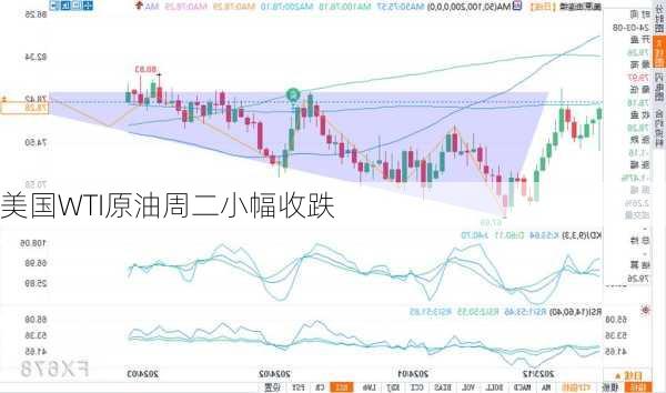 美国WTI原油周二小幅收跌