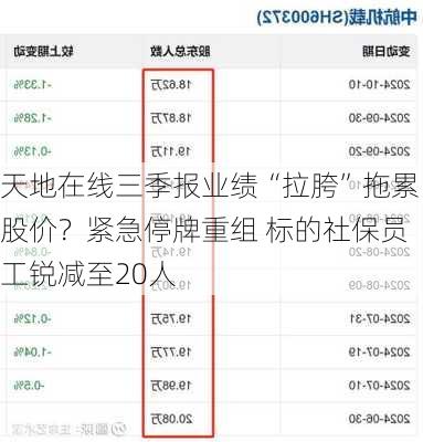 天地在线三季报业绩“拉胯”拖累股价？紧急停牌重组 标的社保员工锐减至20人