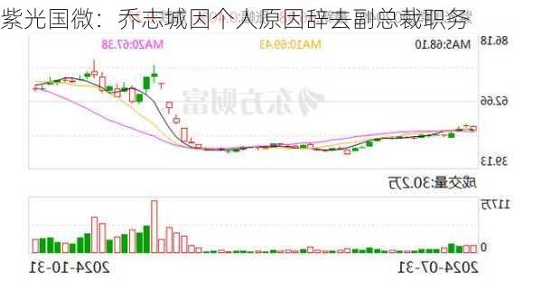 紫光国微：乔志城因个人原因辞去副总裁职务