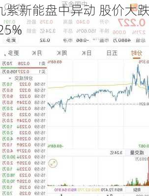 九紫新能盘中异动 股价大跌6.25%