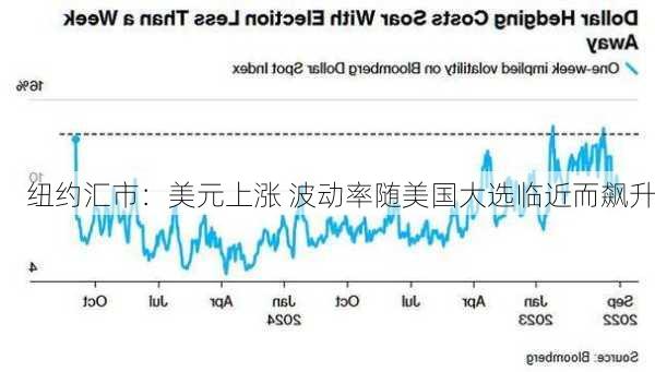 纽约汇市：美元上涨 波动率随美国大选临近而飙升