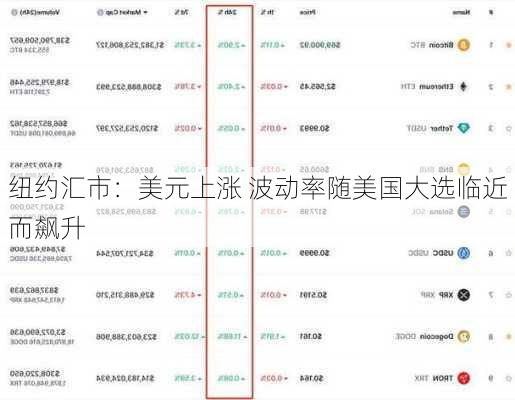 纽约汇市：美元上涨 波动率随美国大选临近而飙升