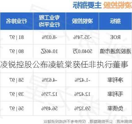 凌锐控股公布凌毓棠获任非执行董事