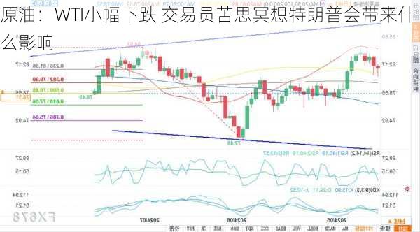 原油：WTI小幅下跌 交易员苦思冥想特朗普会带来什么影响