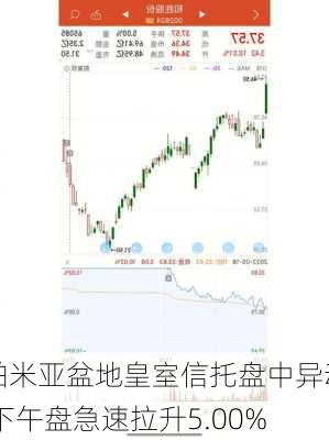 帕米亚盆地皇室信托盘中异动 下午盘急速拉升5.00%