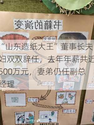 “山东造纸大王”董事长夫妇双双辞任，去年年薪共近500万元，妻弟仍任副总经理