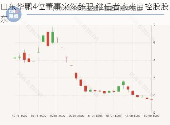 山东华鹏4位董事突然辞职 继任者均来自控股股东