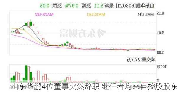 山东华鹏4位董事突然辞职 继任者均来自控股股东