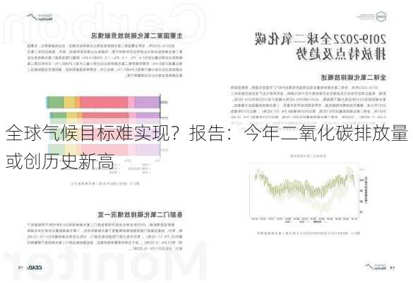 全球气候目标难实现？报告：今年二氧化碳排放量或创历史新高