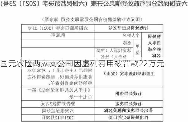 国元农险两家支公司因虚列费用被罚款22万元