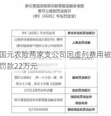 国元农险两家支公司因虚列费用被罚款22万元