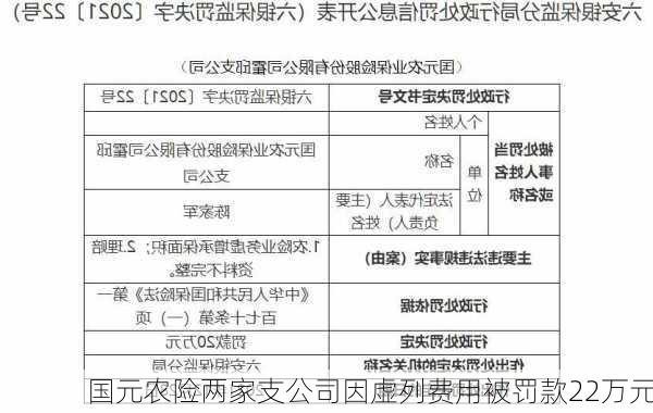 国元农险两家支公司因虚列费用被罚款22万元